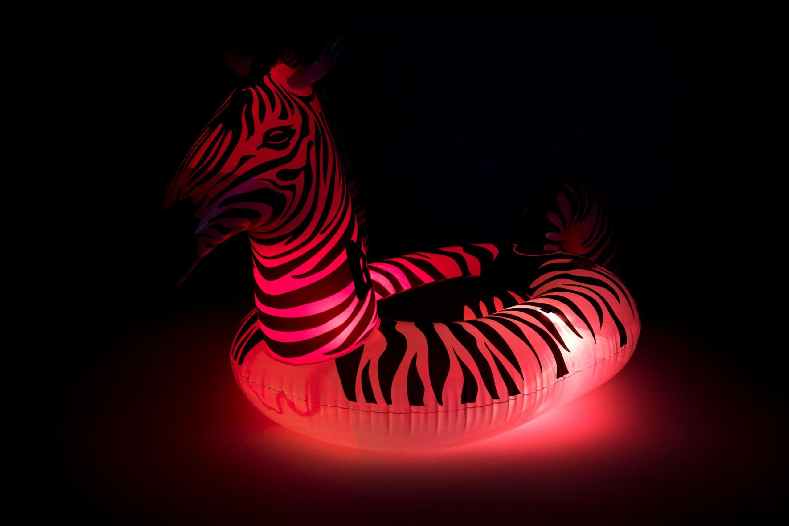Pool Schwimmtier Zebra für Kinder mit LED-Licht
